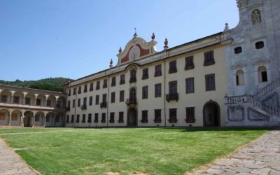 Museo di Storia Naturale dell’Università di Pisa: una visita che vale il tuo tempo